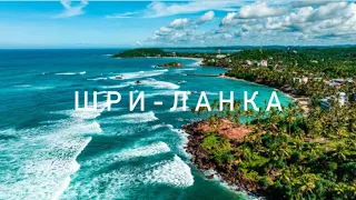 Влог: Шри-Ланка 2024 | Черепахи на побережье | Serendib Beach Hotel | Hikkaduwa |Цунами на Шри-Ланке