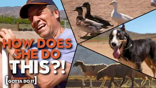 Mike Rowe Goes Head to Head with a SHEEPDOG to WRANGLE Sheep | Somebody's Gotta Do It