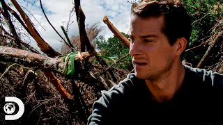 Bear Grylls prepara um refúgio para suportar uma noite fria na Nova Zelândia | À Prova de Tudo