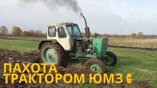 І знову осіня пахота трактором ЮМЗ 6. ЮМЗ 6. Плуг ПЛН 3.35