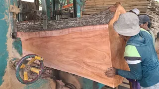 wow ammazing menggergaji kayu mahoni super besar bahan baku papan 2cm.disawmill