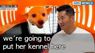 We're going to put her kennel here! [Dogs are incredible : EP.143-3] | KBS WORLD TV 220912