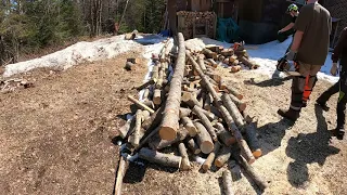 Stihl ms261 testing on firewood
