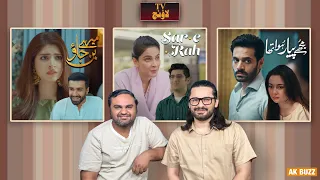 Why we think Tere bin is not the best drama ? | Tere Bina Mein Nahin | Mere Ban Jao | TV Lounge EP64