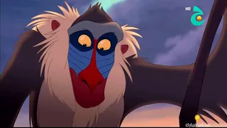 Circle Of Life (Arabic TV) Subs & Trans