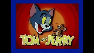 Tom And Jerry English Episodes - Baby Puss | Cartoons For Kids Episodes English