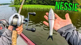 Controversial New Soft Plastic GLIDE BAIT || Testing Berkley NESSIE (instant response)