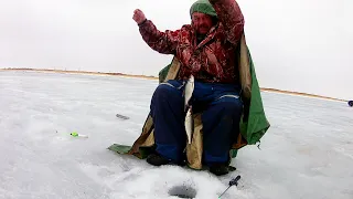 ВЕСЕННЯЯ РЫБАЛКА НА ТОБОЛЕ! ПОПАЛИ НА ЖОР БЕЛОЙ РЫБЫ, ОКУНЬ, ЛЕЩ НА МОРМЫШКИ! РЫБАЛКА В КАЗАХСТАНЕ!