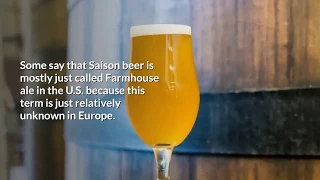 What is a Saison Beer? What Kind of Beer Is a Saison? (SAISON BEER) » HomeBrewAdvice.com