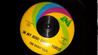 The Rainy Daze - "In My Mind Lives a Forest" 1966 Garage Psych