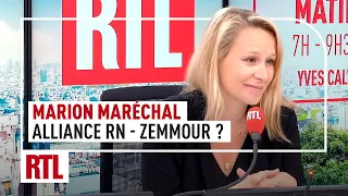 Marion Maréchal : alliance RN - Zemmour possible ?