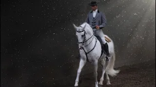 Levitating | Equestrian Music Video