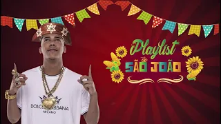 VIDA LOUCA ( VERSÃO PISEIRO ) - MC POZE DO RODO