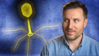 The History of Phage Therapy