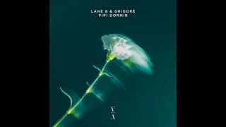 Lane 8, Grigoré - Pipi Dormir (Extended Mix)  //   [This Never Happened]