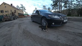 катаемся на Lexus ES 250