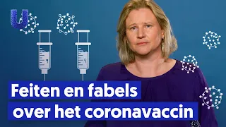 How dangerous is the corona vaccine?