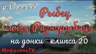 Русская Рыбалка 4 Где Клюет  р Волхов Рыбец Синец Разнорыбица на донки 25.03.23