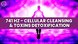 741 Hz - Cellular Cleansing & Toxins Detoxification | Heal Body Remove The Impurities From Blood