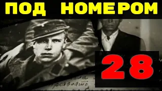 Под номером 28 -  Без срока давности