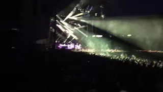 Phish dicks