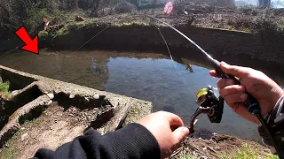 Pesca de Pejerrey | Chile, Talca