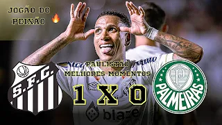 DEU PEIXE! Santos 1 x 0 Palmeiras - Melhores Momentos - (Ida) Final Paulistão 2024