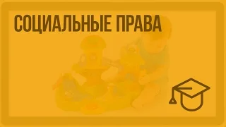 Социальные права. Видеоурок по обществознанию 9 класс