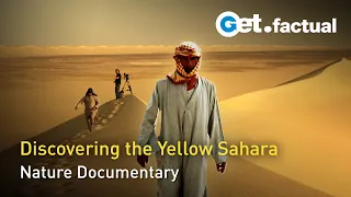 The Colors of the Desert - The Yellow Sahara | Nature Documentary