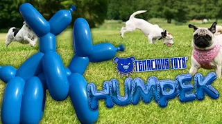 Tenacious Toys x Mighty Jaxx - HUMPek Exclusive Blue edition vinyl art collectible by Whatshisname!