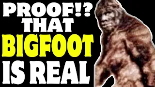 PROOF that BIGFOOT is REAL!?  NEW Patterson - Gimlin film ENHANCHMENT !