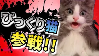 爆笑おもしろネコ🐱🐱🐱全員参戦!!　Part11