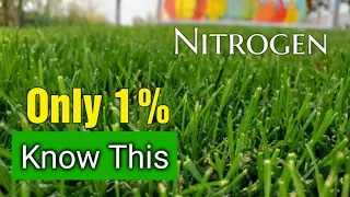 Bet You DON'T Know This About Nitrogen Lawn Fertilizers