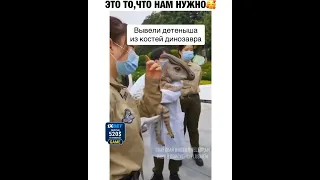 Вывели детёныша из кости динозавра 😱 #dinosaur #world #shock