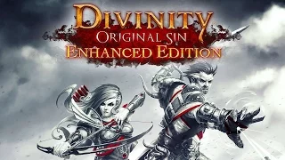 Divinity: Original Sin Enhanced Edition #2