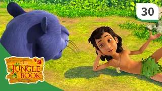 The Jungle Book ☆ When the Jungle Sleeps ☆ Season 3 - Episode 30 - Full Length