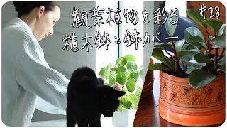 #28 観葉植物を彩る植木鉢と鉢カバーMy Pots & Planters Collection