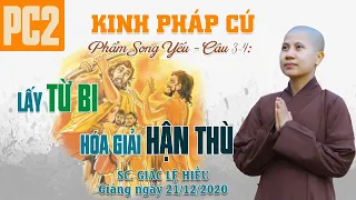 Lấy từ bi hóa giải hận thù - Kinh Pháp Cú - Phẩm Song Yếu - Câu 3-4 - SC. Giác Lệ Hiếu