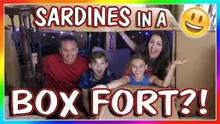 SARDINES IN A BOX FORT MAZE | HIDE AND SEEK | We Are The Davises