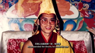 A real-life Bodhisattva - His Eminence the 25th Tsem Rinpoche