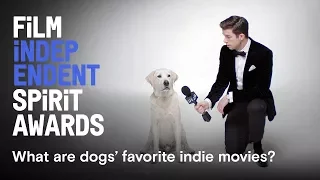 What are dogs' favorite indie movies? Watch the 2018 Spirit Awards on March 3