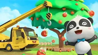 Bayi Panda Menanam Buah Apel | Lagu Menananm Buah Apel | BabyBus Bahasa Indonesia