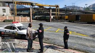 GTA5 LSPDFR 字幕実況（日本警察）