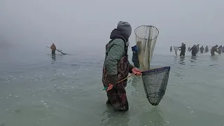 Как мы ходили за селедкой.