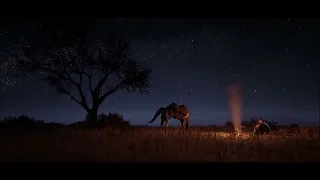 Red Dead Redemption 2 - Insanely Realistic Animals Details