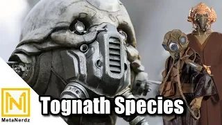 The Kel Dor, Gand, & Tognath Connection - Tongath Species Explained and Life of Two Tubes