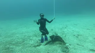 Freediving training course for 20m.