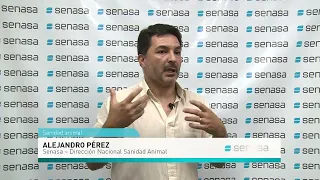 La situación sanitaria porcina en Argentina – Alejandro Pérez – Dirección Nacional de Sanidad Animal