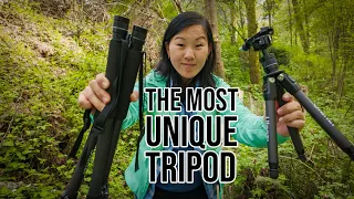 This is MORE than a tripod -  Hiking pole tripod with 6 uses!