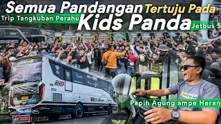 FENOMENA BARU ! JADI PUSAT PERHATIAN DI TANGKUBAN !! BEGINI RASANYA NAIK BIS ARTIS KIDS PANDA JB 5